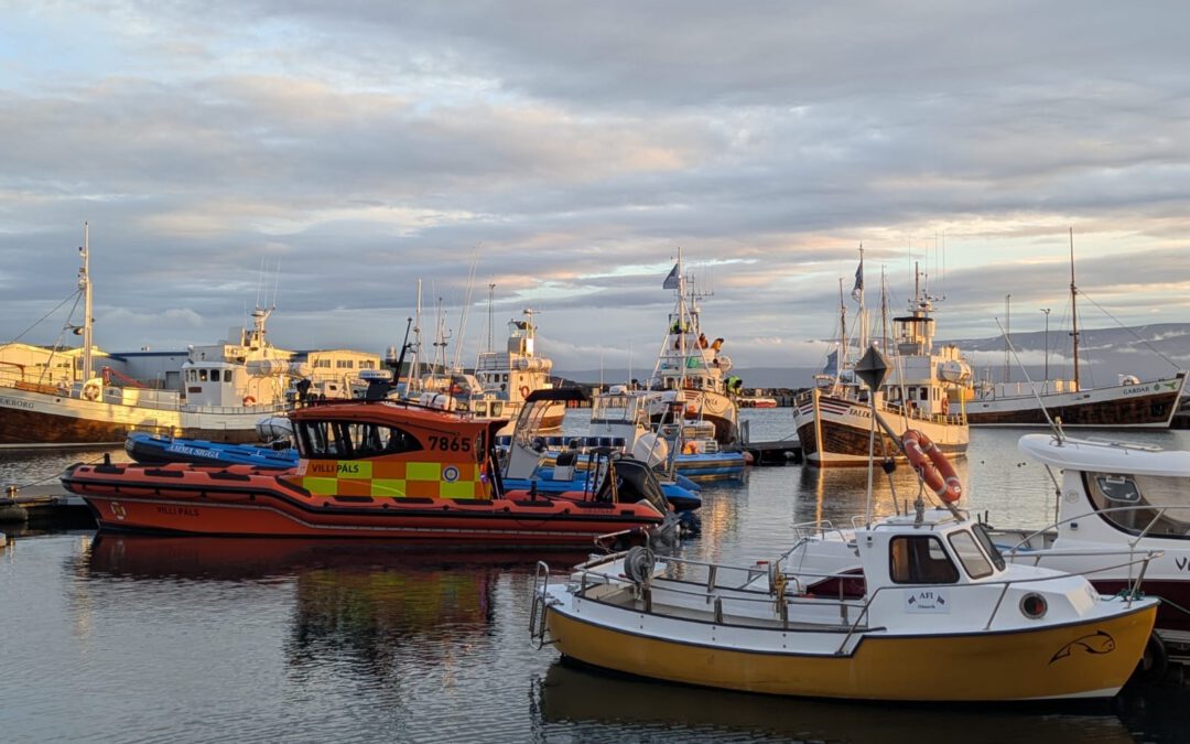 A day in Húsavík: the small town with great magic