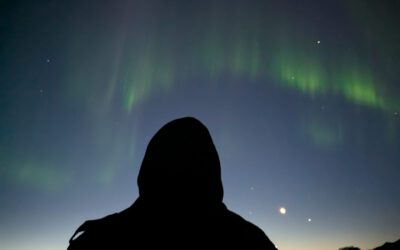Fire jellyfish, puffins and the Northern Lights: a day full of magic