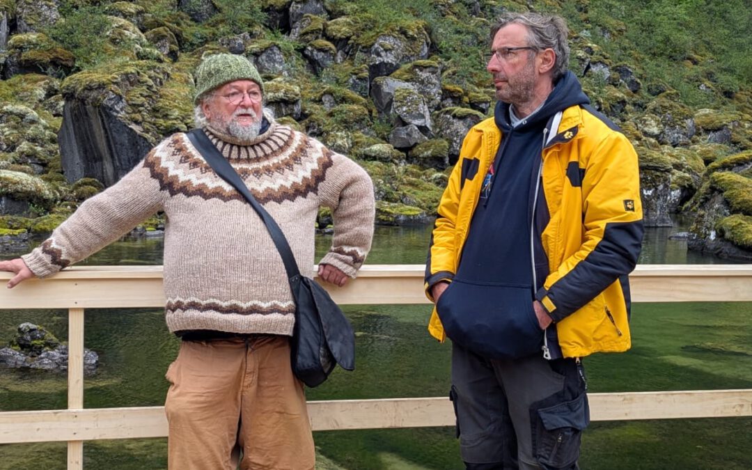 In the hoofprint of the gods: a day full of natural forces at Dettifoss and the solfataras